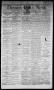 Primary view of Denison Daily News. (Denison, Tex.), Vol. 2, No. 161, Ed. 1 Tuesday, September 1, 1874