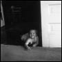 Thumbnail image of item number 1 in: '[Baby Crawling on a Floor]'.