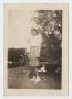 Photograph: [Photograph of an Unknown Girl by a Tree]