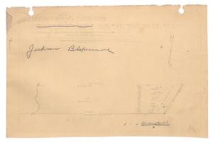 Primary view of object titled 'Map of J.M. Cunningham's Subdivision of Jackson Blakemore Survey Number 97, Taylor County, Texas'.