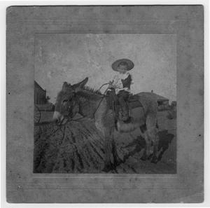 Primary view of object titled 'Early Beeville Resident on a Donkey'.