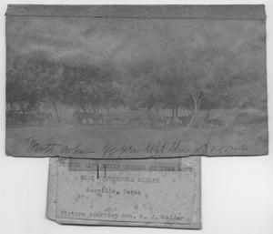 Primary view of object titled 'Mules/Horses and Buggies near the Courthouse Square Beeville'.