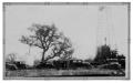 Photograph: First Oil Well in Bee County: Maggie Ray McKinney 1929