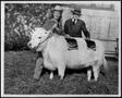 Photograph: [Jean Kiger and her champion steer]