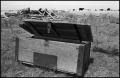 Photograph: [Old Trunk on Old Homestead in Archer City]
