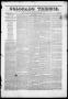 Thumbnail image of item number 1 in: 'Colorado Tribune. (Matagorda, Tex.), Vol. 1, No. 27, Ed. 1, Monday, April 17, 1848'.