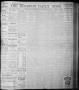 Primary view of The Houston Daily Post (Houston, Tex.), Vol. NINTH YEAR, No. 302, Ed. 1, Friday, February 2, 1894