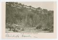 Postcard: [Postcard of Bluff at Walnut Springs and Philip's Hotel]