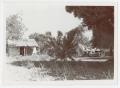 Photograph: [Photograph of Abandoned Shacks in Old Tusculum]