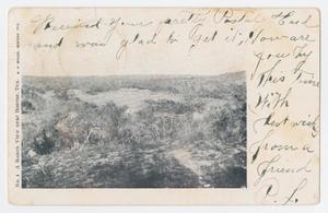 Primary view of object titled '[Postcard from P. F. to Mr. Gustav Linndner, February 13, 1907]'.