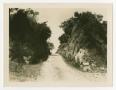 Photograph: [Dirt Road With Rocks On Both Sides]
