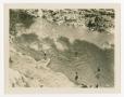 Photograph: [Group Of Young People Swimming]