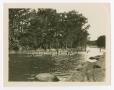 Photograph: [Group of People Swim In A River]