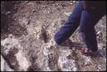 Photograph: [Human Footprint in Limestone 2]