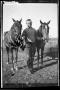 Photograph: [Photograph of Man with Two Horses]
