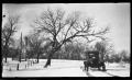 Photograph: [Photograph of an Automobile on Snowy Road]