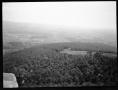 Photograph: [Photograph of an Aerial View of Woods and Farmland]