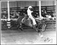 Primary view of [Rodeo Cowboy Willie Gomez Participating in Bronco Riding]