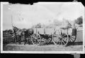 Photograph: [Two horses pulling a wagon load of hay]