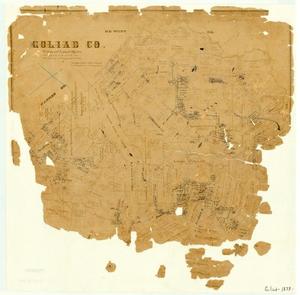 Primary view of object titled 'Goliad County'.