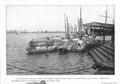 Primary view of [Photograph of several boats docked a pier]