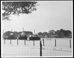 Primary view of object titled '[Wire fences surrounding a snow covered pasture on the George Ranch]'.
