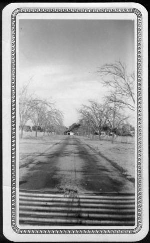Primary view of object titled '[Photograph of the driveway that leads to the George Ranch house]'.
