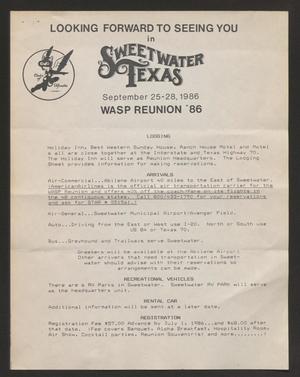 Primary view of object titled '[Flyer: WASP Reunion '86 #3]'.