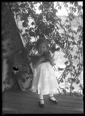 Primary view of object titled '[Portrait of Girl with Kitten]'.