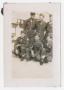 Photograph: [Photograph of a Group of Troops]