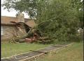 Video: [News Clip: Storm damage]