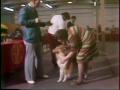 Video: [News Clip: Dog show]