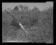 Photograph: [Photograph of a broken helicopter rotor blade laying in tall grass, …