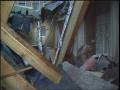 Video: [News Clip: Roof Collapse]