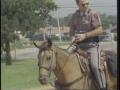 Video: [News Clip: Horse patrol]
