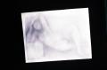 Primary view of [Figure drawing by Claudia Betti]