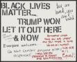 Thumbnail image of item number 1 in: '[White "Trump Won, Let It Out Here & Now" poster]'.