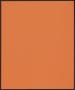 Thumbnail image of item number 2 in: '[Orange "Being Black Should Not Be a Death Sentence" poster]'.