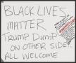 Poster: [White "Trump Dump On the Other Side" poster]