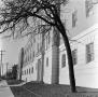 Photograph: [outside of Matthews Hall by tree]