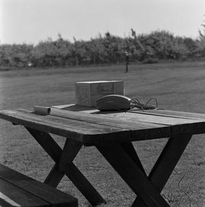Primary view of object titled '[Telephone on a table]'.