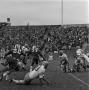 Photograph: [North Texas State homecoming game, 6]