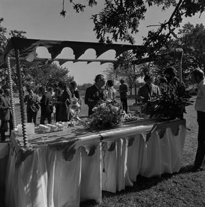 Primary view of object titled '[Food table in the park, 4]'.