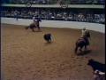 Video: [News Clip: Cutting horses]