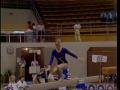 Video: [News Clip: State gymnastics]