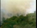 Primary view of [News Clip: Brush fire]