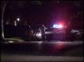 Video: [News Clip: Illinois shooting]