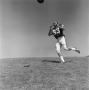 Photograph: [Football player #83, Barry Moore, watching an incoming ball]