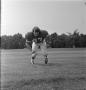 Photograph: [Football player #87, M. Hayner from the 1971 season]