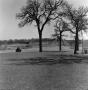 Photograph: [Golf pond and trees]